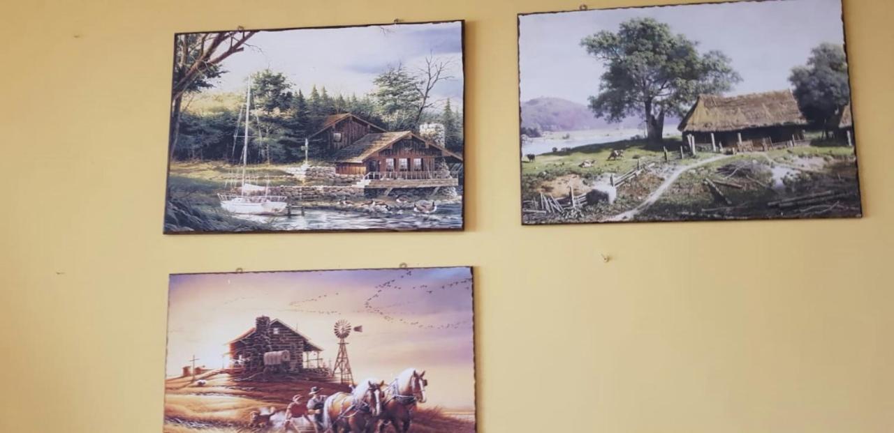 Leyla Hostel Braşov Esterno foto