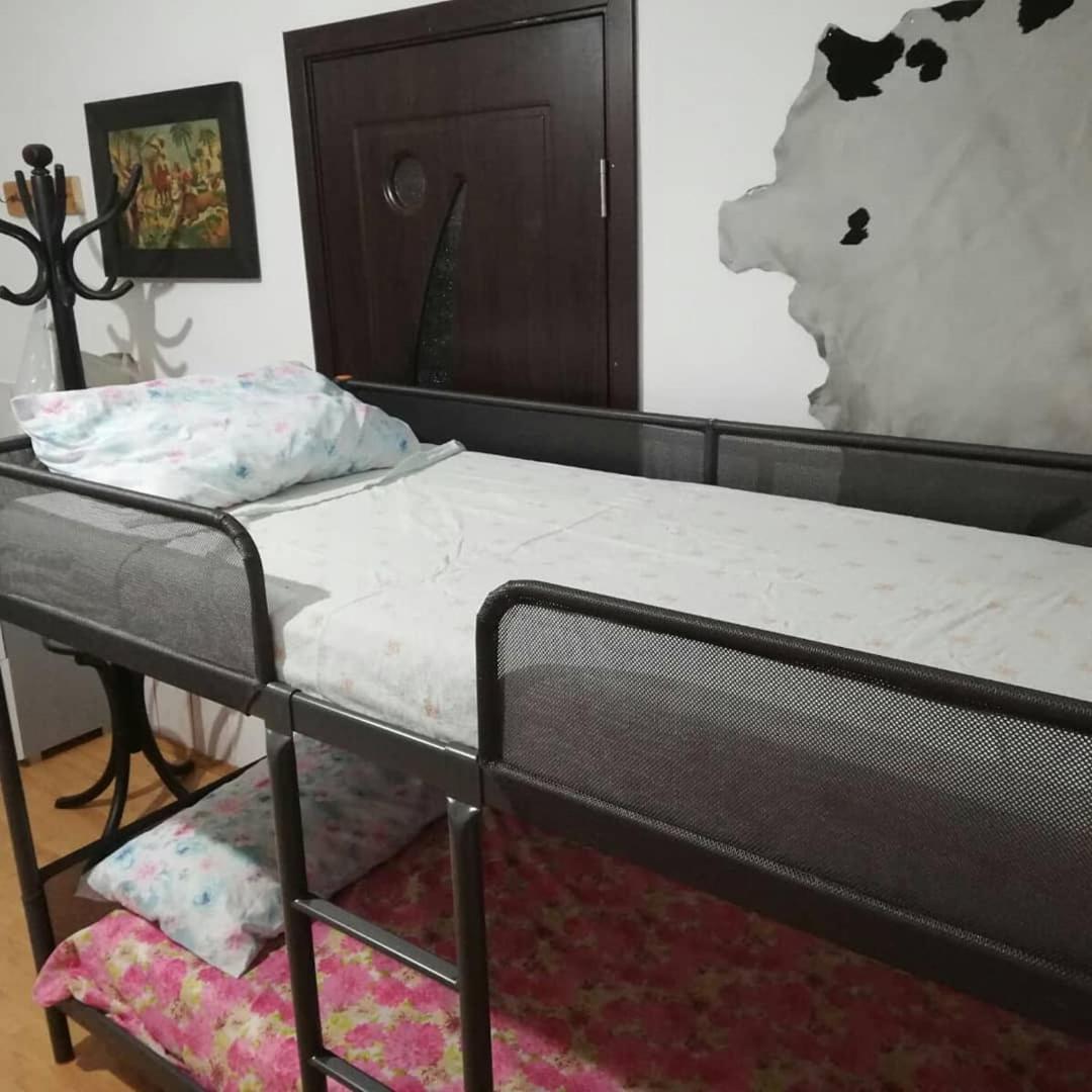 Leyla Hostel Braşov Esterno foto