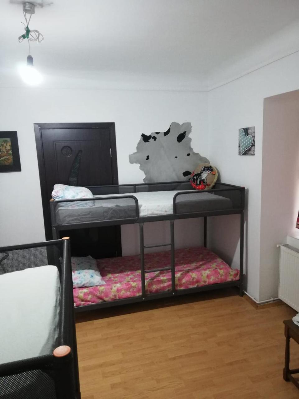 Leyla Hostel Braşov Esterno foto