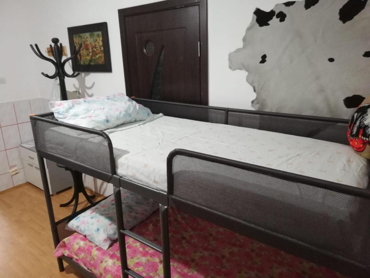 Leyla Hostel Braşov Esterno foto