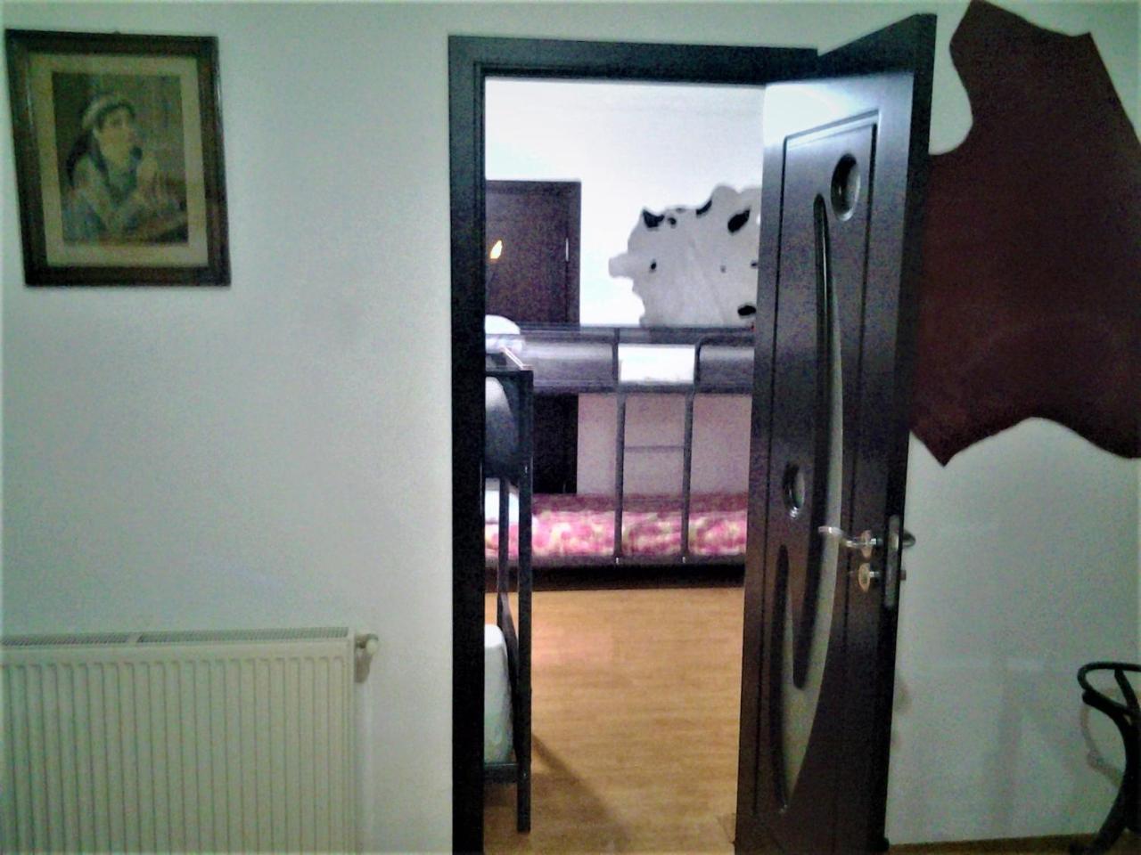 Leyla Hostel Braşov Esterno foto