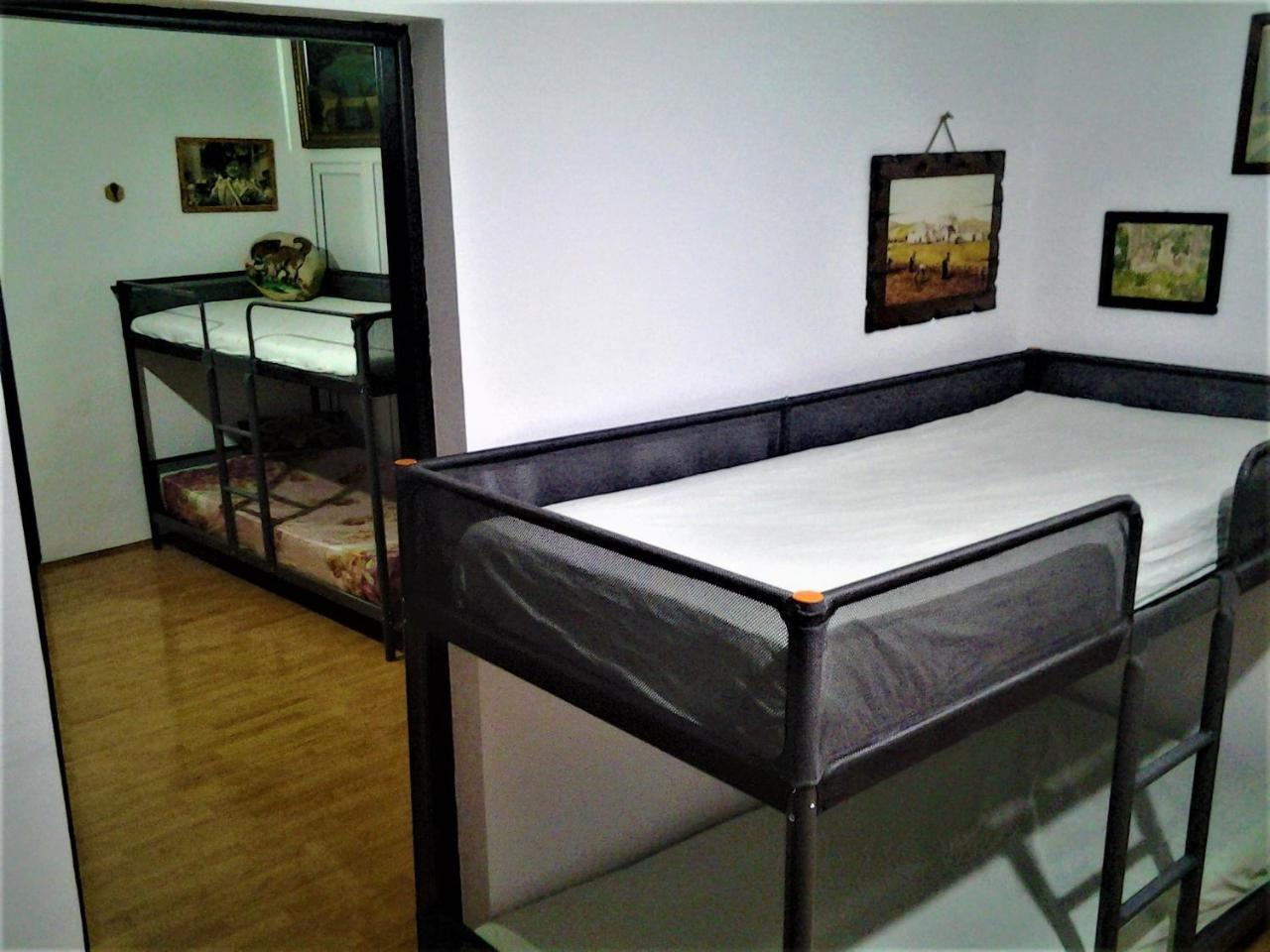 Leyla Hostel Braşov Esterno foto