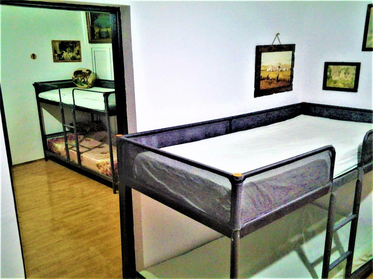 Leyla Hostel Braşov Esterno foto