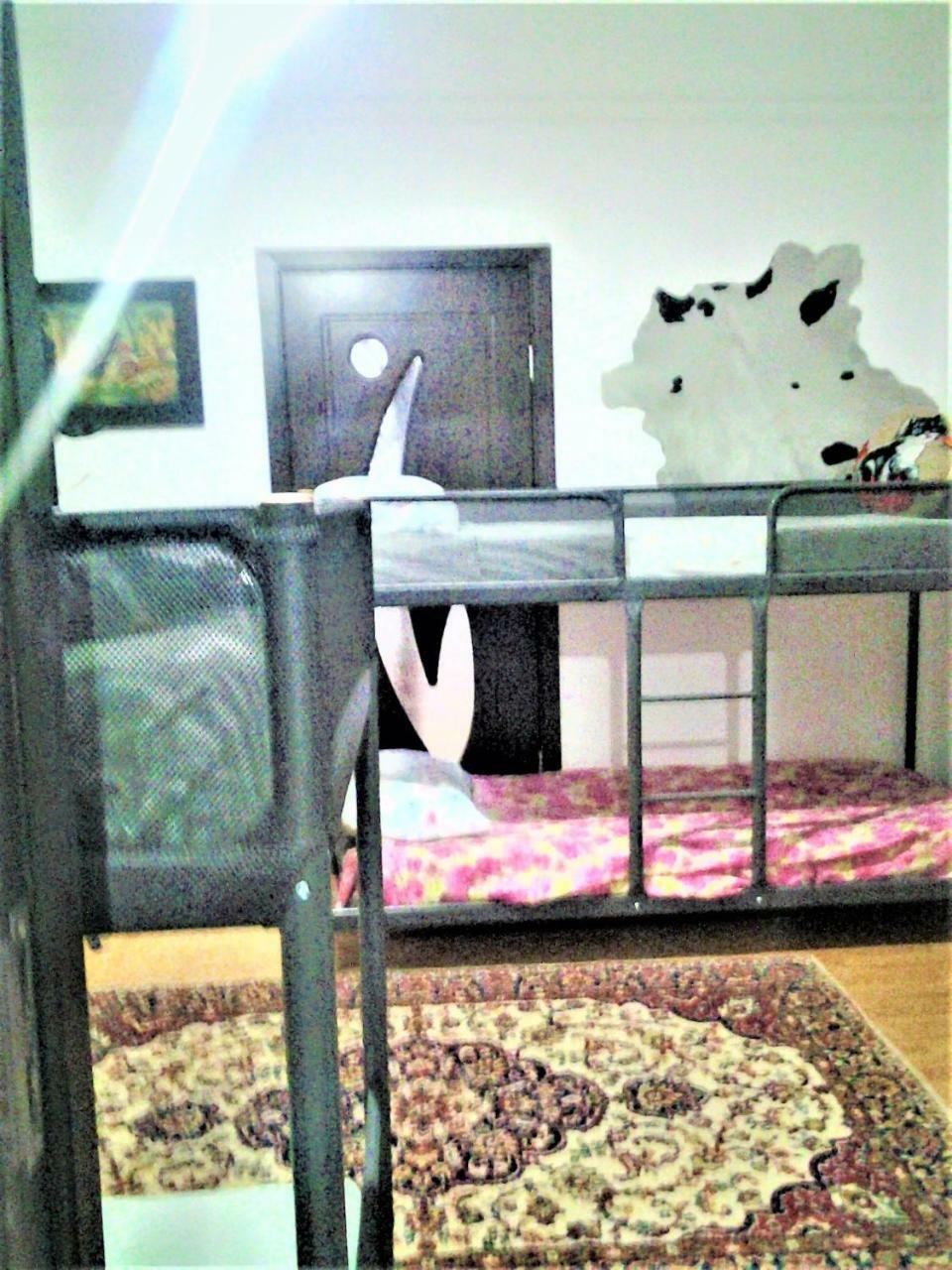Leyla Hostel Braşov Esterno foto